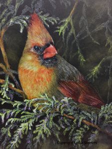 Morning Light CP e-Packet